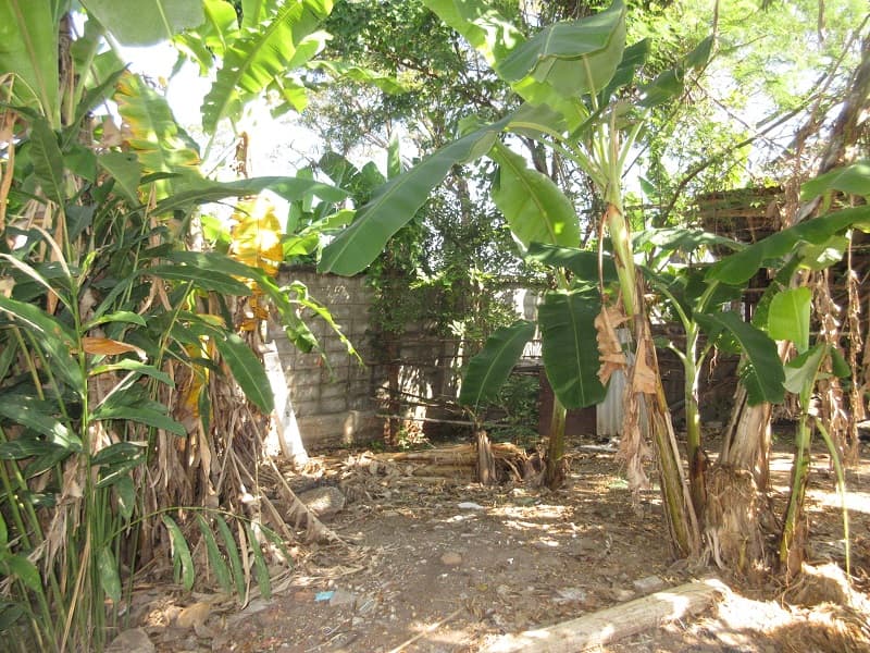 full_20220110114704.jpg