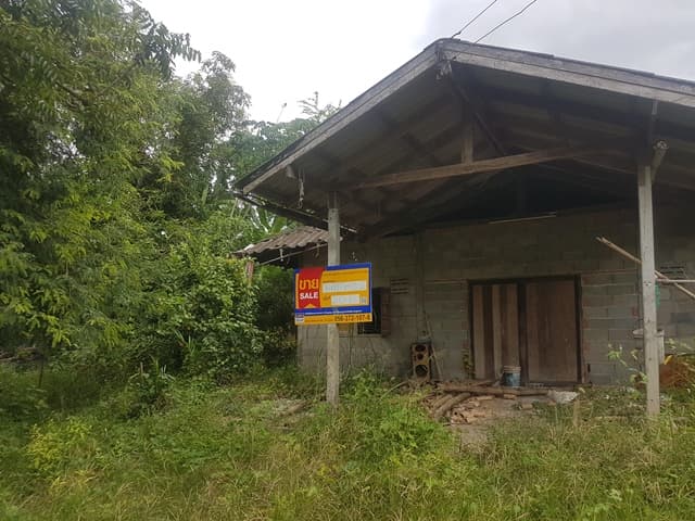 full_20220211115226.jpg