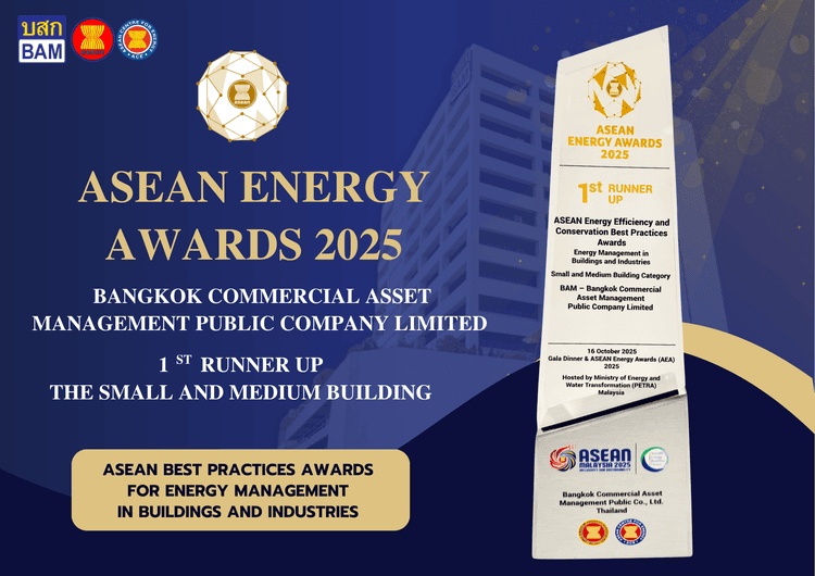 BAM - ASEAN ENERGY AWARDS 2025.png
